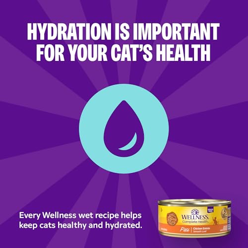 Wellness Complete Health Pate Variety Pack Kitten Canned Wet Cat Food, Natural, Protein Rich, Grain Free, Whitefish and Chicken Recipes, 3 oz, Pack