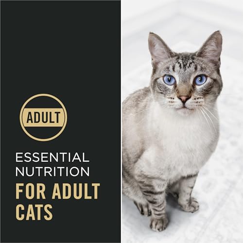 Purina Pro Plan High Protein Cat Food With Probiotics for Cats, Salmon and Rice Formula - 7 lb. Bag