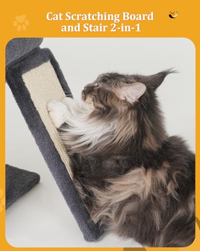 Aechonow Cat Tree for Large Cats, 14Inch Cat Tree Tower with Scratching Post, 20x16.5Inch Perch Bed for Adult Senior Cats, Removable Washable Mat