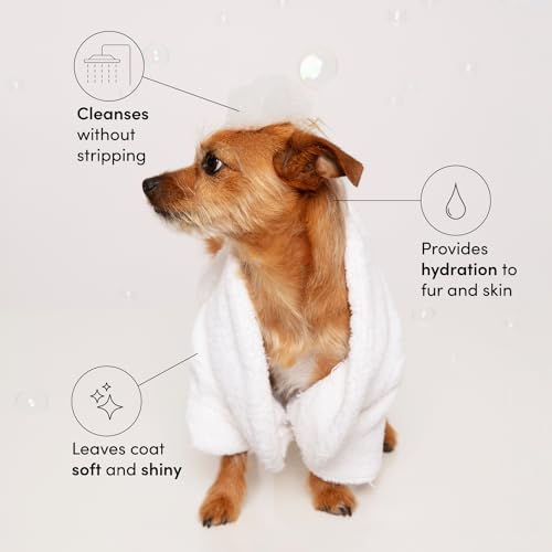 OUAI Fur Bébé Pet Shampoo - Cat & Dog Shampoo for Gentle Cleansing, Hydration & Shine - Vegan & Cruelty-Free Pet Supplies with Aloe Vera & Panthenol