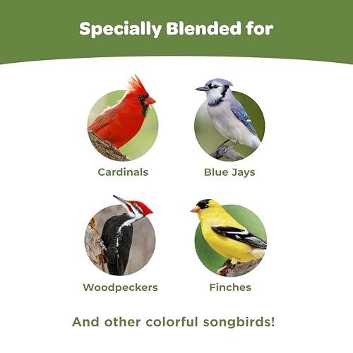 Kaytee Ultimate Birder's Blend Food, Wild Bird Seed For Grosbeaks, Cardinals, Nuthatches, Woodpeckers & More Outside Feeders, 10 Pound