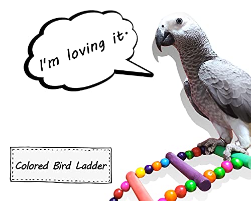 DS. DISTINCTIVE STYLE Bird Ladder Toys Coloured Flexible Parrot Swing Bridge Wooden Cockatiel Cage Hanging Climbing Ladder (39 in (16 Steps))