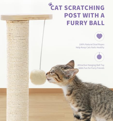 Made4Pets Cat Scratching Post Cat Scratcher Kitten Toys for Indoor Cats Wooden Ball Track Two-Layer Modern Sisal 17.7" Tall Scratch Post Interactive