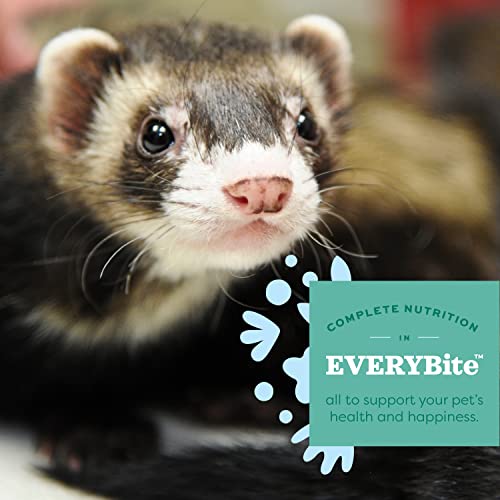 Oxbow Essentials Ferret Food, Vitamin & Mineral Rich Formula for Ferret, High Protein Food & High Fat, Small Animal Pet Products, Oxbow, Made in USA