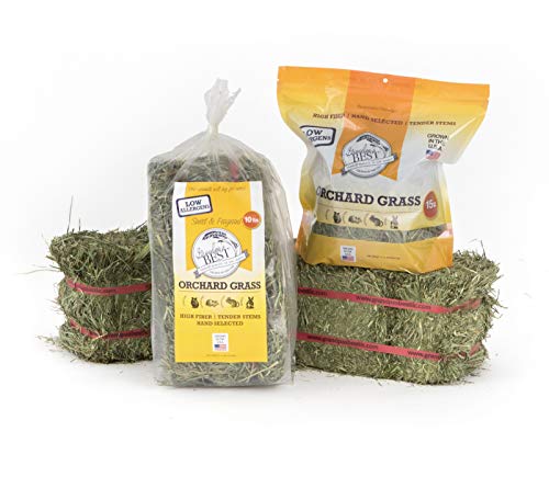Grandpa's Best Orchard Grass Bale, 5 lbs,green