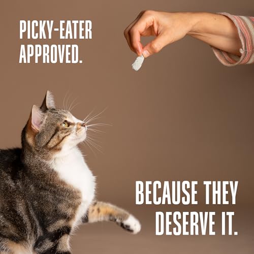 Whole Life Cat Just One Chicken Freeze Dried Cat Treats - Human Grade High Protein Food, Healthy Training Snacks, Freeze Dried Chicken Food Toppers
