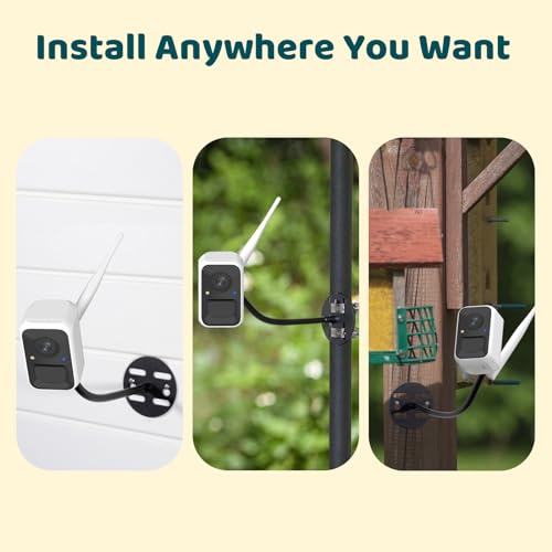 NETVUE by Birdfy Smart Bird Feeder Camera, Adjustable Brackets, Auto Bird Video Capture, Instant Notifications, AI Identify 6000+ Species