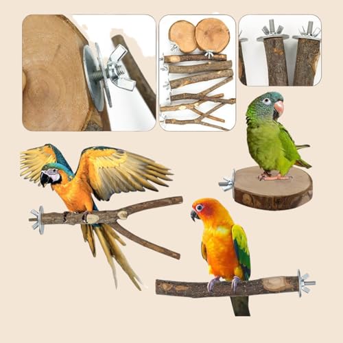 8-Piece Set Natural Wood Bird Perches - Wooden Parrot Stand with Fork Toys, Hanging Multi-Branch Platform, Hammock Swing - Suitable for Parakeets