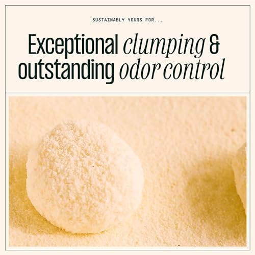 Sustainably Yours Natural Cat Litter, Mixed-Grain Formula, Exceptional Clumping & Odor Control, Virtually No Dust, Easy to Scoop, Corn & Cassava