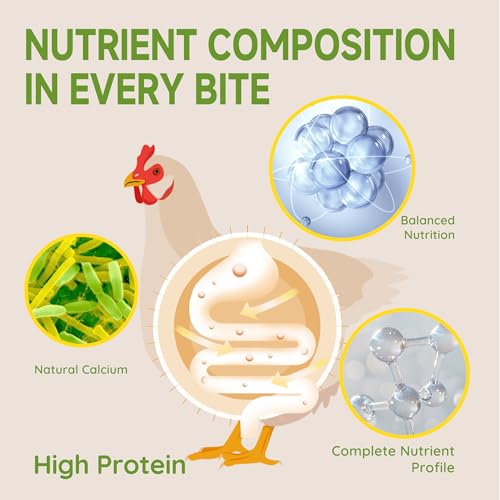 5LB Non-GMO Dried Black Soldier Fly Larvae for Chickens 45% Protein High Calcium Chicken Feed Alternative to Mealworms, Dried BSF Larvae Chicken