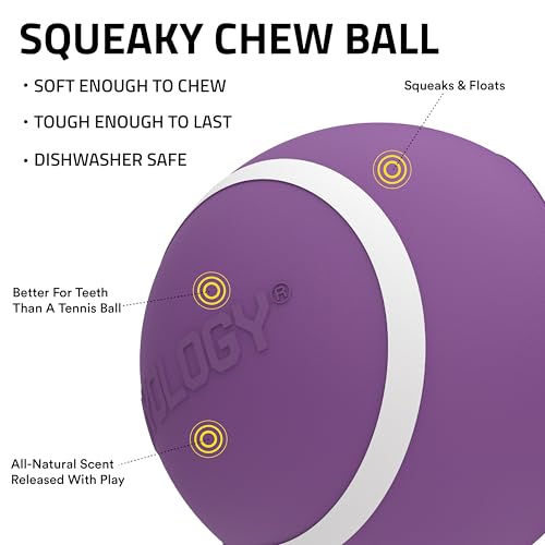 Playology Dog Toys | Squeaky Chew Ball for Dogs, Value 3-Pack | Bacon Scented Small Dog Balls | Bouncy Floating Chew Toys for Fetch