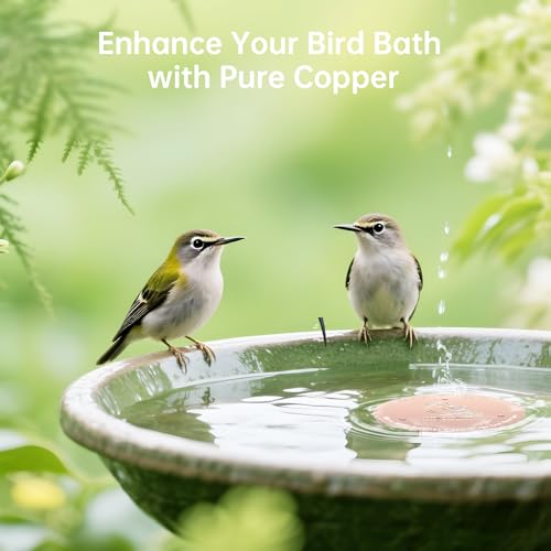 Bird Bath Copper Disk, Premium 0.6mm Sturdy 99.99% Pure Copper Disk for Bird Baths,Triple-Point Support Ensures Clean Water Year-Round, Compatible