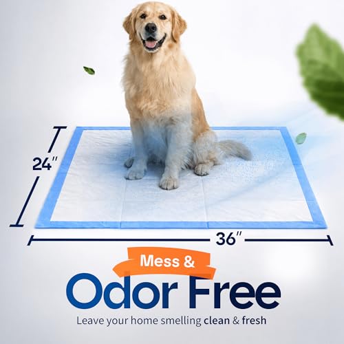 Healqu Disposable Underpads - Absorbent Incontinence Bed Pads for Adults, Kids, Elderly, and Pets - Fluid and Urine Bed Protection - Large, Thick