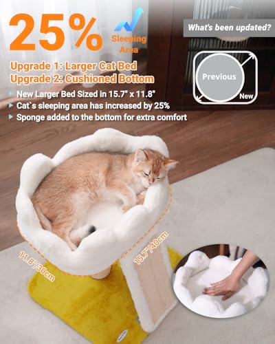 Happi N Pets Cat Tree, Cloud Cat Tower with Soft Bed, Cat Scratching Post & Pad with Larger Perch for Window Viewing, Small Cat Tree with Cute Toys