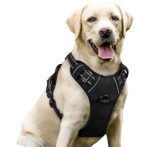rabbitgoo Dog Harness No Pull with 2 Leash Clips, Adjustable Soft Padded, Reflective Oxford No Choke Pet Vest with Easy Control Handle for Large
