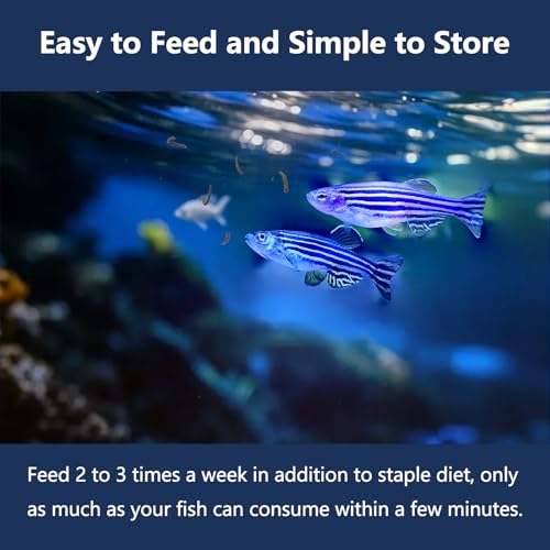 JADINGSFRAM Blood Worms Fish Food 3.5 oz, Freeze Dried Bloodworms for Fish, Bloodworms Fish Food for Freshwater Saltwater Tropical Fish Betta Cichlid