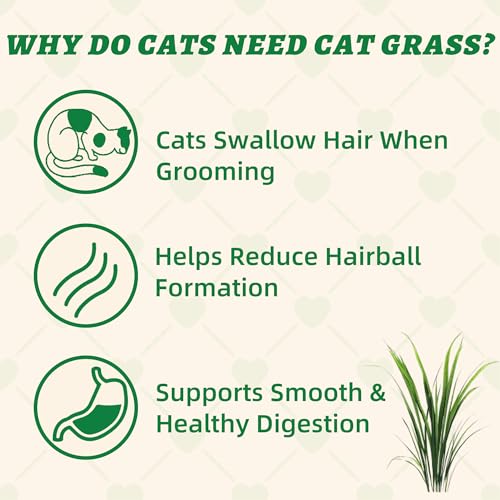 Wellix 13.05oz Cat Grass Treats with Catnip & Salmon - Healthy Cat Treats for Indoor Cats - Hairball Control & Digestive Support - Kittens Training