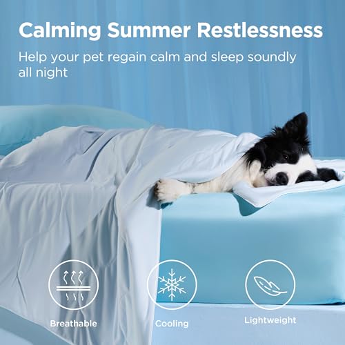 Bedsure Cooling Blanket for Small Dogs with Breathable Air-Core Fill Q-MAX>0.4 - Dog Cooling Mat Soft, Lightweight Pet Cat Throw Cold Blanket