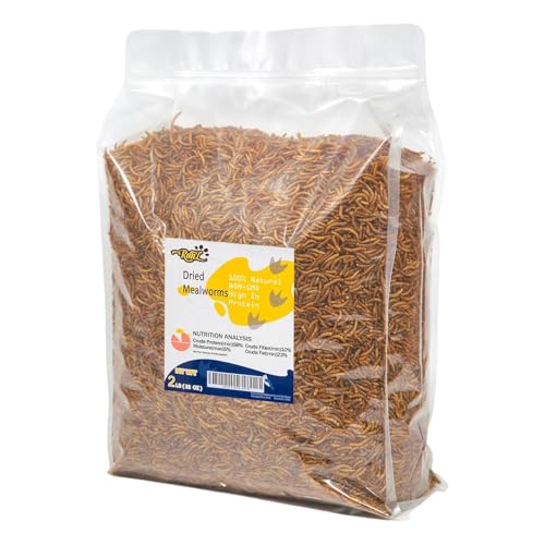 RANZ 2LBS Non-GMO Dried Mealworms for Chickens, High Protein Meal Worms, Premium Chicken Feed, Whole Large Mealworms for Blue Birds, Ducks, Fish