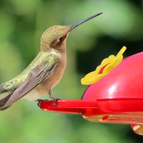 16 Pieces Hummingbird Feeders Replacement Flowers Yellow Pet Replacement Bird Feeder Replacement Parts with 2 PCS Brush Feeding Ports Bee Guards for