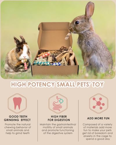 Bissap Rabbit Chew Toy, Natural Bunny Treats Snacks with Timothy Hay Water Grass Mat Coconut Husk Box for Guinea Pigs Chinchillas Hamsters Gerbils