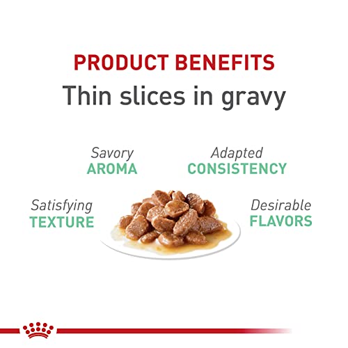 Royal Canin Feline Care Nutrition Digestive Care Adult Thin Slices in Gravy Cat Food, 3 oz (Pack of 12)