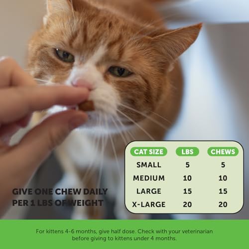 Cat Probiotics Gut + Immune Health Chews – Crunchy & Creamy Cat Treats for Digestive Health, Gut Flora & Constipation Relief – Supports Immunity