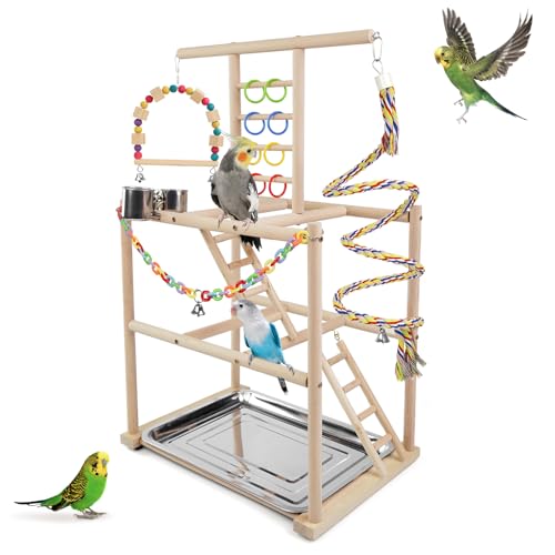 Bird Playground, Parrots Playstand for Small to Medium Birds, Perch Stand with 3 Ladders Playgym with Rope Perch, Swings Feeder Cups Bird Cage