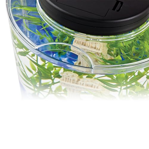 Tetra LED Half Moon Aquarium Kit, 1.1 Gallons, Small, Clear Plastic Fish Tank With Curved Front, Easy Feeding And Movable, Energy-Efficient LEDs