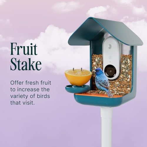 Birdbuddy 3-in-1 Nutrition Set - Outdoor Bird Accessories with Water Fountain, Fruit Spike & Jelly Tray Feeder - Durable, Easy Attachment for Bird