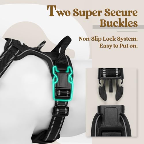 rabbitgoo Dog Harness No Pull with 2 Leash Clips, Adjustable Soft Padded, Reflective Oxford No Choke Pet Vest with Easy Control Handle for Large