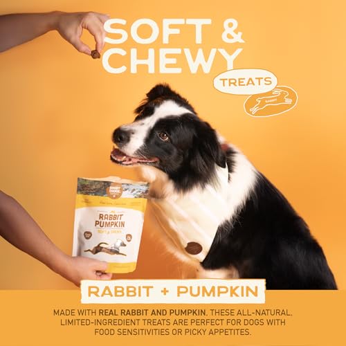 Smart Cookie All Natural Dog Treats - Rabbit & Pumpkin - Training Treats for Dogs & Puppies with Allergies, Sensitive Stomachs - Soft Dog Treats