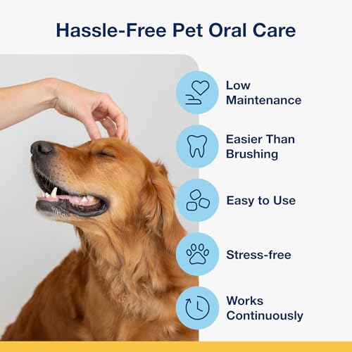 ProDen PlaqueOff Soft Chews with Natural Kelp - for Small & Medium Breed Dogs & Cats - Supports Normal, Healthy Teeth, Gums, and Breath Odor in Dogs