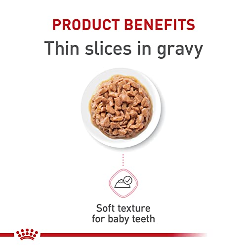 Royal Canin Feline Health Nutrition Kitten Thin Slices in Gravy Cat Food, 3 oz (Pack of 24)