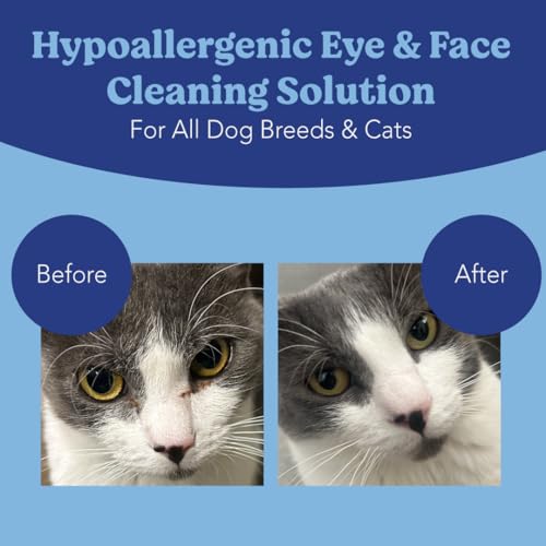 Angel's Eyes Gentle Tear Stain Wipes for Dogs and Cats - 100 Ct - Presoaked Textured (AEGTSW100)