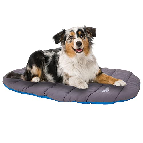 Chuckit! Outdoor Travel Portable Water Resistant Travel Pillow Dog Bed For Medium to Large Dogs 20 to 100 lbs, 39"L x 30"W, Blue