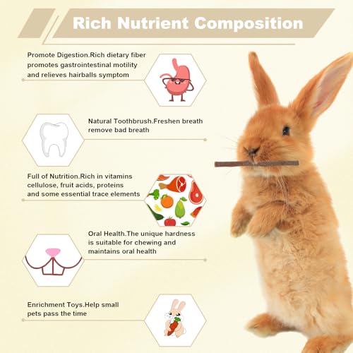 900g Apple Sticks Wood Chew Sticks Toys for Rabbits Chinchillas Guinea Pigs Hamsters Bunny Molar Chew Treats Toys for Teeth, Small Animals Snacks