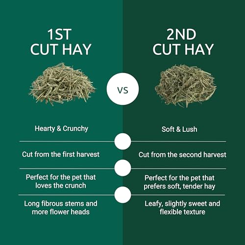 Kaytee First Cut Timothy Hay, High Fiber, Grown Specifically for Small Animals, Rabbits, Guinea Pigs, Chinchillas, 6.5 Pounds