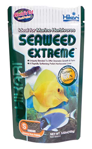 Hikari Usa Inc AHK25312 Seaweed extreme 3.52-Ounce
