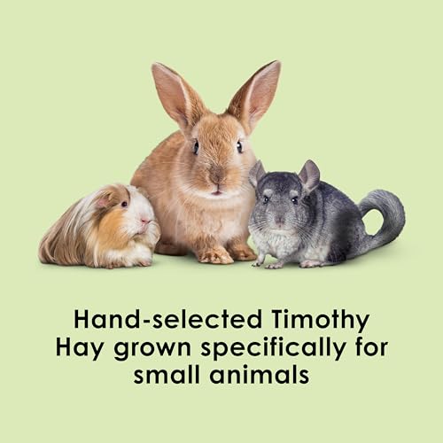 Kaytee Wafer Cut All Natural Timothy Hay for Pet Guinea Pigs, Rabbits & Other Small Animals, 60 Ounce