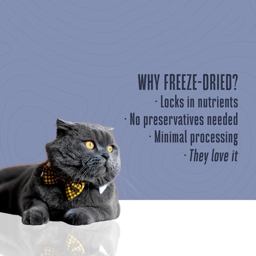 Whole Life Cat Just One Salmon Freeze Dried Cat Treats - Human Grade High Protein Food, Healthy Training Snacks, Freeze Dried Salmon Food Toppers