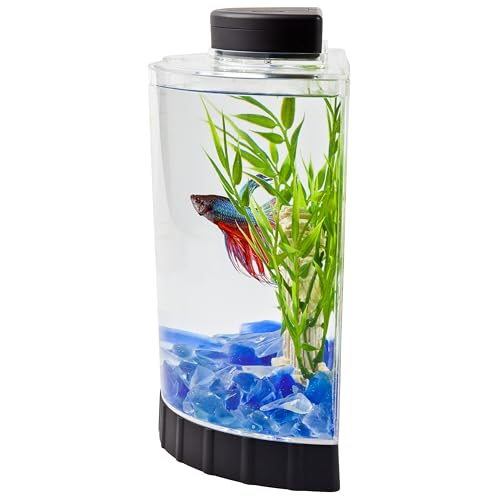 Tetra LED Half Moon Aquarium Kit, 1.1 Gallons, Small, Clear Plastic Fish Tank With Curved Front, Easy Feeding And Movable, Energy-Efficient LEDs