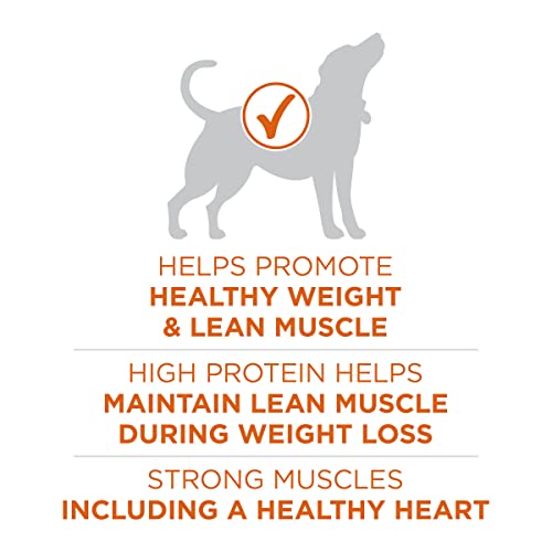 Purina ONE Plus Healthy Weight High-Protein Dog Food Dry Formula - 16.5 lb. Bag