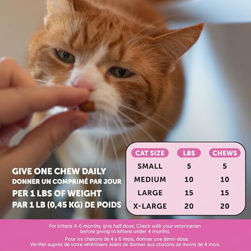 Cat Multivitamin Crunchy & Creamy Chews - Cat Treats for Health + Immune, Joint Support, Skin & Coat, & Digestion - Vitamins with Omega 3s, Lysine
