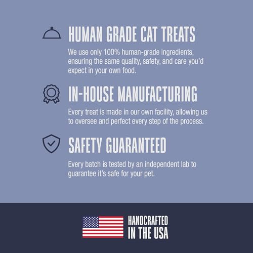 Whole Life Cat Just One Salmon Freeze Dried Cat Treats - Human Grade High Protein Food, Healthy Training Snacks, Freeze Dried Salmon Food Toppers