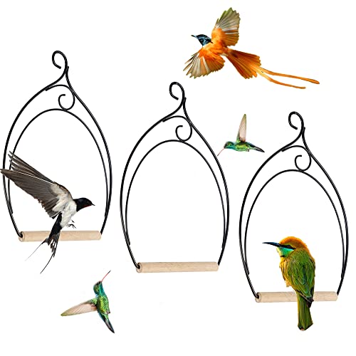 winemana Set of 3 Hummingbird Swings, Rust Resistant Metal Frame, Wooden Dowel, Attach to Bird Feeders, Perfect for Hanging Indoor Office Outdoor
