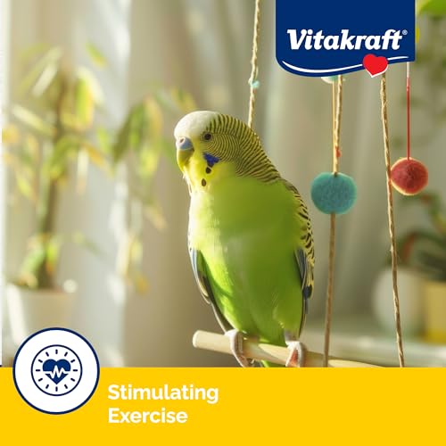 Vitakraft Crunch Sticks Parakeet Treat - Triple-Baked Millet Parakeet Treats with Natural Wood Center - Crunchy & Nutritious Bird Treat Sticks for