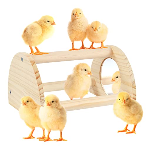 Pine Chicken Perch with Mirror, Strong Chick Jungle Gym Roosting Bar, Chicken Toys for Coop and Brooder, Training Perch Toys for Large Bird, Parrot