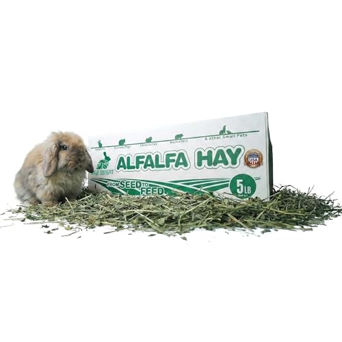 High Desert Alfalfa Hay, Protein Rich Soft Leaf Food for Young Growing Animals, Natural Rabbit Food and Guinea Pig Hay, Supports Digestive Health