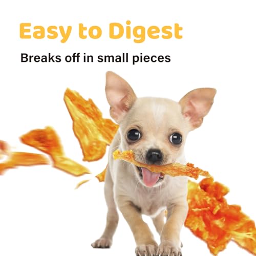 iPaw 10 Pcs Value Pack Turkey Tendons for Dogs, Single Protein, Hypoallergenic, All Natural Human Grade Puppy Chew, Rawhide Alternative Dog Treats